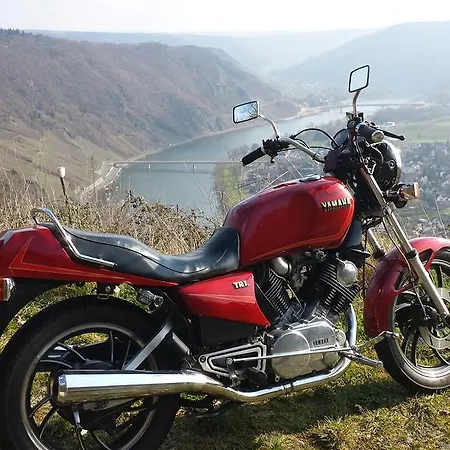 Rivaner Апартаменты Burg (Bernkastel-Wittlich)