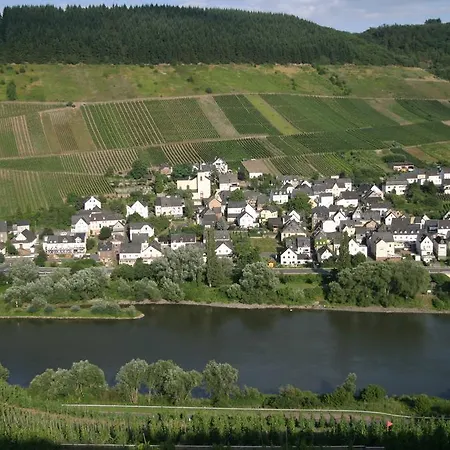 Rivaner Apartment Burg (Bernkastel-Wittlich)