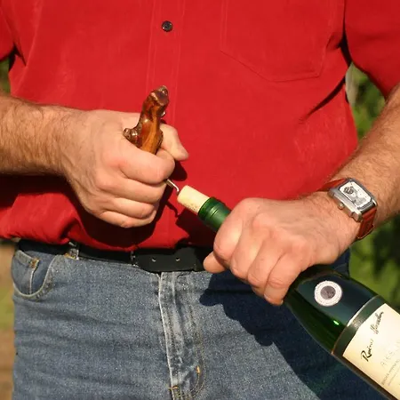 Rivaner Burg (Bernkastel-Wittlich)