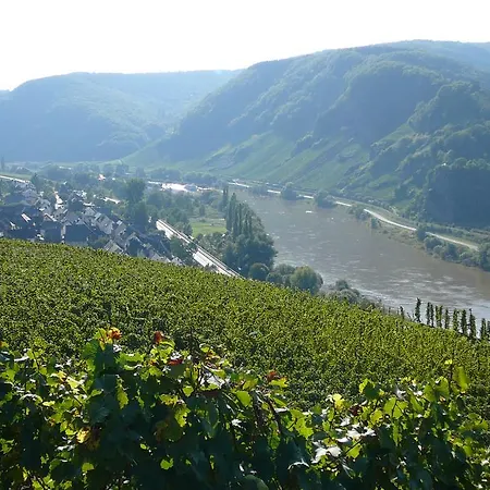 Apartment Rivaner Burg (Bernkastel-Wittlich)