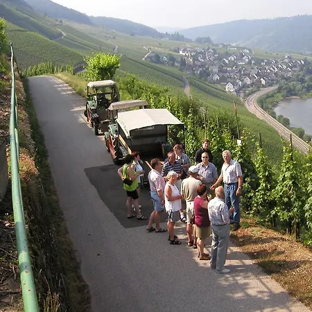 Rivaner Apartment Burg (Bernkastel-Wittlich)