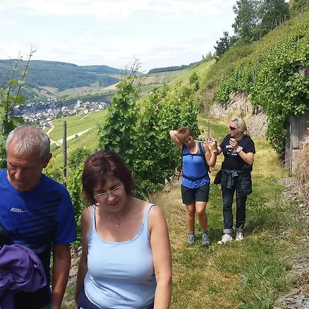 Апартаменты Rivaner Burg (Bernkastel-Wittlich)