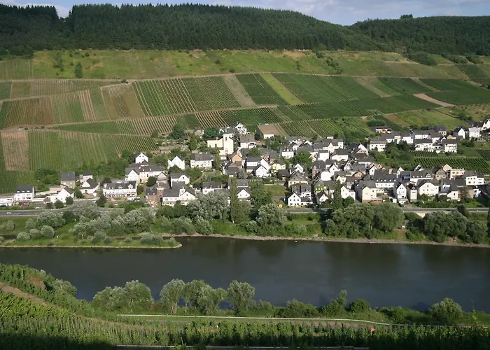 Rivaner 아파트 Burg (Bernkastel-Wittlich)