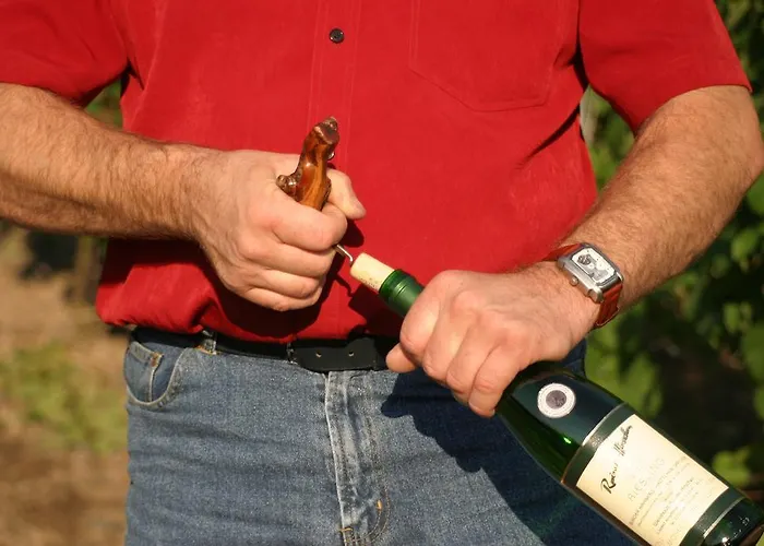 Rivaner Burg (Bernkastel-Wittlich)