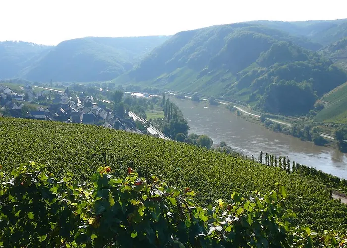 아파트 Rivaner Burg (Bernkastel-Wittlich)