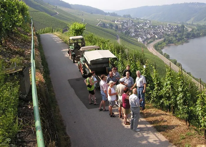 Rivaner 아파트 Burg (Bernkastel-Wittlich)