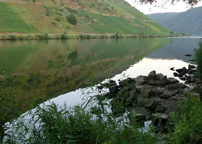 아파트 Rivaner Burg (Bernkastel-Wittlich)
